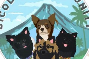 Best Car Dog Community: Tips &amp; Advice | My Caring Dog – Tips, Stories, and Care Guides for Loving Pet Owners