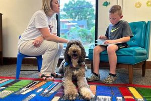 Therapy Dogs: Canine Companions for Healing My Caring Dog – Tips, Stories, and Care Guides for Loving Pet Owners Therapy Dogs: Canine Companions for Healing | My Caring Dog – Tips, Stories, and Care Guides for Loving Pet Owners