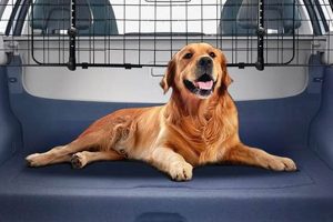 Best Way To Secure Dog In Car My Caring Dog – Tips, Stories, and Care Guides for Loving Pet Owners Best Way To Secure Dog In Car | My Caring Dog – Tips, Stories, and Care Guides for Loving Pet Owners