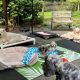 Best Dog Day Care in Renton WA | Top Kennels | My Caring Dog – Tips, Stories, and Care Guides for Loving Pet Owners