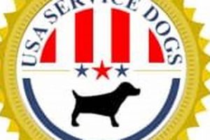 Best USA Service Dogs Reviews & Ratings My Caring Dog – Tips, Stories, and Care Guides for Loving Pet Owners Best USA Service Dogs Reviews & Ratings | My Caring Dog – Tips, Stories, and Care Guides for Loving Pet Owners