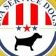 Best USA Service Dogs Reviews & Ratings | My Caring Dog – Tips, Stories, and Care Guides for Loving Pet Owners