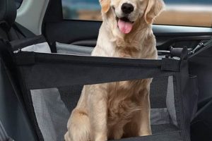 Essential Tips for Dog Safety in the Car My Caring Dog – Tips, Stories, and Care Guides for Loving Pet Owners Essential Tips for Dog Safety in the Car | My Caring Dog – Tips, Stories, and Care Guides for Loving Pet Owners