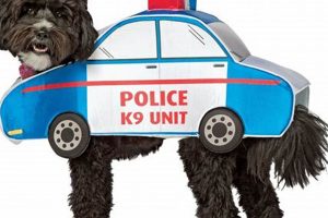 Cool Car Costumes for Dogs & Puppies My Caring Dog – Tips, Stories, and Care Guides for Loving Pet Owners Cool Car Costumes for Dogs & Puppies | My Caring Dog – Tips, Stories, and Care Guides for Loving Pet Owners