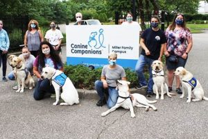Canine Companions Northeast Training Center My Caring Dog – Tips, Stories, and Care Guides for Loving Pet Owners Canine Companions Northeast Training Center | My Caring Dog – Tips, Stories, and Care Guides for Loving Pet Owners