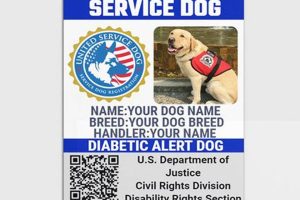Get a Free Service Dog in NC: Your Guide | My Caring Dog – Tips, Stories, and Care Guides for Loving Pet Owners