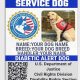 Get a Free Service Dog in NC: Your Guide | My Caring Dog – Tips, Stories, and Care Guides for Loving Pet Owners