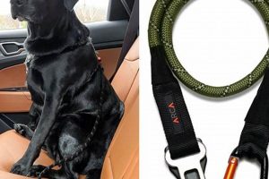 Top Bungee Dog Car Seat Belts for Safe Travel My Caring Dog – Tips, Stories, and Care Guides for Loving Pet Owners Top Bungee Dog Car Seat Belts for Safe Travel | My Caring Dog – Tips, Stories, and Care Guides for Loving Pet Owners