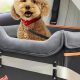 Dog Travel Bed Car | My Caring Dog – Tips, Stories, and Care Guides for Loving Pet Owners
