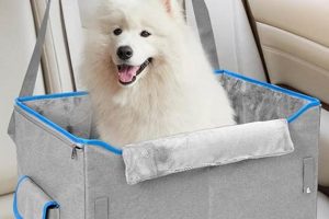 Best Elevated Dog Car Seats for Safe Travel My Caring Dog – Tips, Stories, and Care Guides for Loving Pet Owners Best Elevated Dog Car Seats for Safe Travel | My Caring Dog – Tips, Stories, and Care Guides for Loving Pet Owners