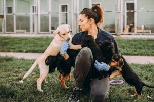 Florissant Mo Animal Shelter My Caring Dog – Tips, Stories, and Care Guides for Loving Pet Owners Florissant Mo Animal Shelter | My Caring Dog – Tips, Stories, and Care Guides for Loving Pet Owners