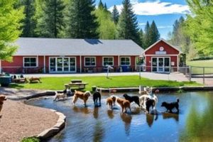 Best Service Dog Centers Near Me: Find Your Match My Caring Dog – Tips, Stories, and Care Guides for Loving Pet Owners Best Service Dog Centers Near Me: Find Your Match | My Caring Dog – Tips, Stories, and Care Guides for Loving Pet Owners
