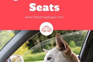 Easy Ways to Remove Dog Hair from Car Seats My Caring Dog – Tips, Stories, and Care Guides for Loving Pet Owners Easy Ways to Remove Dog Hair from Car Seats | My Caring Dog – Tips, Stories, and Care Guides for Loving Pet Owners