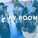 Best K9 Room Day Care For Dogs: Safe & Fun | My Caring Dog – Tips, Stories, and Care Guides for Loving Pet Owners