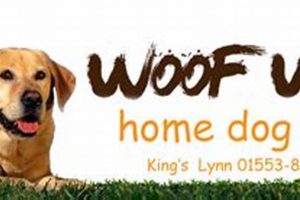 Complete Woof Dog Care Guide & Tips | My Caring Dog – Tips, Stories, and Care Guides for Loving Pet Owners