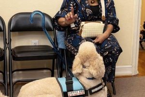 Get a Mobility Service Dog: Complete Guide My Caring Dog – Tips, Stories, and Care Guides for Loving Pet Owners Get a Mobility Service Dog: Complete Guide | My Caring Dog – Tips, Stories, and Care Guides for Loving Pet Owners