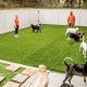 Best Dog Day Care in Savannah GA | Top Kennels | My Caring Dog – Tips, Stories, and Care Guides for Loving Pet Owners