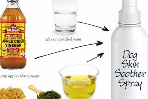 Best Natural Skin Care Products for Dogs My Caring Dog – Tips, Stories, and Care Guides for Loving Pet Owners Best Natural Skin Care Products for Dogs | My Caring Dog – Tips, Stories, and Care Guides for Loving Pet Owners