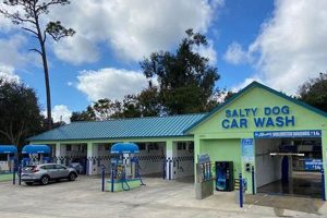 Best Salty Dog Car Wash in Edgewater, FL My Caring Dog – Tips, Stories, and Care Guides for Loving Pet Owners Best Salty Dog Car Wash in Edgewater, FL | My Caring Dog – Tips, Stories, and Care Guides for Loving Pet Owners