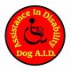 Car Safety with Dog Aid Accessories | My Caring Dog – Tips, Stories, and Care Guides for Loving Pet Owners