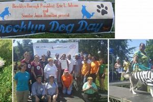 Top-Rated Brooklyn Dog Day Care: Safe & Fun! My Caring Dog – Tips, Stories, and Care Guides for Loving Pet Owners Top-Rated Brooklyn Dog Day Care: Safe & Fun! | My Caring Dog – Tips, Stories, and Care Guides for Loving Pet Owners