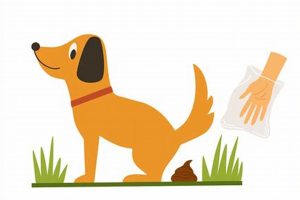 Car Life After a Dog: Tips & Advice My Caring Dog – Tips, Stories, and Care Guides for Loving Pet Owners Car Life After a Dog: Tips & Advice | My Caring Dog – Tips, Stories, and Care Guides for Loving Pet Owners