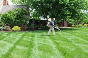 Top-Rated Dog-Safe Lawn Care Services My Caring Dog – Tips, Stories, and Care Guides for Loving Pet Owners Top-Rated Dog-Safe Lawn Care Services | My Caring Dog – Tips, Stories, and Care Guides for Loving Pet Owners