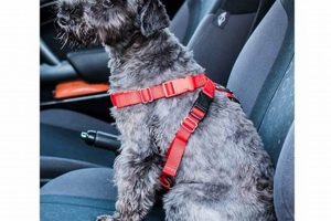 Top Mikki Dog Car Harness for Safe Travel My Caring Dog – Tips, Stories, and Care Guides for Loving Pet Owners Top Mikki Dog Car Harness for Safe Travel | My Caring Dog – Tips, Stories, and Care Guides for Loving Pet Owners