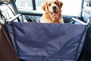 Best Dog Car Seat Buckets & Carriers for Safe Travel My Caring Dog – Tips, Stories, and Care Guides for Loving Pet Owners Best Dog Car Seat Buckets & Carriers for Safe Travel | My Caring Dog – Tips, Stories, and Care Guides for Loving Pet Owners