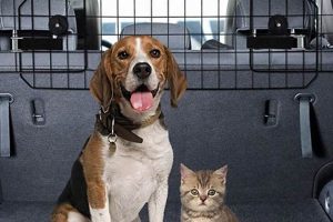 Best Dog Car Fences: Safe & Secure Barriers My Caring Dog – Tips, Stories, and Care Guides for Loving Pet Owners Best Dog Car Fences: Safe & Secure Barriers | My Caring Dog – Tips, Stories, and Care Guides for Loving Pet Owners