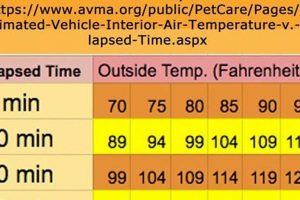 Hot Car? Dog Inside? Act Fast & Save a Life! | My Caring Dog – Tips, Stories, and Care Guides for Loving Pet Owners