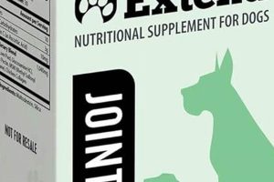 Best Tips to Extend Dog Joint Care Naturally My Caring Dog – Tips, Stories, and Care Guides for Loving Pet Owners Best Tips to Extend Dog Joint Care Naturally | My Caring Dog – Tips, Stories, and Care Guides for Loving Pet Owners