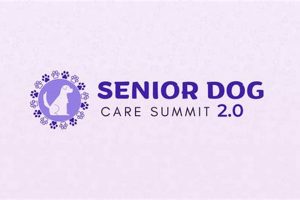 Dog Day Care Summit My Caring Dog – Tips, Stories, and Care Guides for Loving Pet Owners Dog Day Care Summit | My Caring Dog – Tips, Stories, and Care Guides for Loving Pet Owners