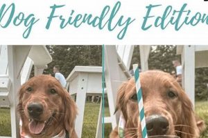 Best Dog Day Care in Traverse City, MI: Top Picks My Caring Dog – Tips, Stories, and Care Guides for Loving Pet Owners Best Dog Day Care in Traverse City, MI: Top Picks | My Caring Dog – Tips, Stories, and Care Guides for Loving Pet Owners