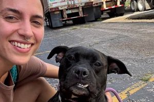 Adopt Rescue Dogs in STL: Find Your Car Buddy My Caring Dog – Tips, Stories, and Care Guides for Loving Pet Owners Adopt Rescue Dogs in STL: Find Your Car Buddy | My Caring Dog – Tips, Stories, and Care Guides for Loving Pet Owners
