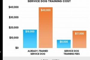 Average Service Dog Costs & Expenses: Full Breakdown My Caring Dog – Tips, Stories, and Care Guides for Loving Pet Owners Average Service Dog Costs & Expenses: Full Breakdown | My Caring Dog – Tips, Stories, and Care Guides for Loving Pet Owners