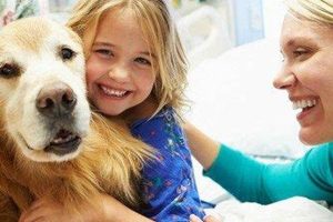 US Service Animals: Your Assistance Dog Resource My Caring Dog – Tips, Stories, and Care Guides for Loving Pet Owners US Service Animals: Your Assistance Dog Resource | My Caring Dog – Tips, Stories, and Care Guides for Loving Pet Owners