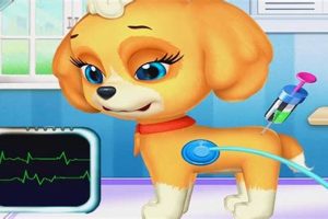 Top Take Care of Your Dog Games: A Guide My Caring Dog – Tips, Stories, and Care Guides for Loving Pet Owners Top Take Care of Your Dog Games: A Guide | My Caring Dog – Tips, Stories, and Care Guides for Loving Pet Owners