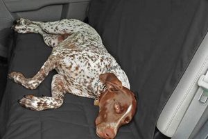 Best Canvas Dog Car Seat Covers for Protection My Caring Dog – Tips, Stories, and Care Guides for Loving Pet Owners Best Canvas Dog Car Seat Covers for Protection | My Caring Dog – Tips, Stories, and Care Guides for Loving Pet Owners