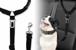 Best Dog Seat Belts for Car Travel Safety My Caring Dog – Tips, Stories, and Care Guides for Loving Pet Owners Best Dog Seat Belts for Car Travel Safety | My Caring Dog – Tips, Stories, and Care Guides for Loving Pet Owners