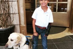 Cci Puppy Cam My Caring Dog – Tips, Stories, and Care Guides for Loving Pet Owners Cci Puppy Cam | My Caring Dog – Tips, Stories, and Care Guides for Loving Pet Owners