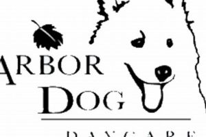 Best Arbor Dog Care Tips & Tricks My Caring Dog – Tips, Stories, and Care Guides for Loving Pet Owners Best Arbor Dog Care Tips & Tricks | My Caring Dog – Tips, Stories, and Care Guides for Loving Pet Owners
