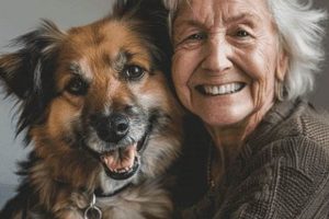 Best Senior Dog Day Care | Find Senior Care My Caring Dog – Tips, Stories, and Care Guides for Loving Pet Owners Best Senior Dog Day Care | Find Senior Care | My Caring Dog – Tips, Stories, and Care Guides for Loving Pet Owners