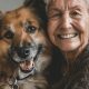 Best Senior Dog Day Care | Find Senior Care | My Caring Dog – Tips, Stories, and Care Guides for Loving Pet Owners