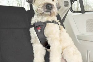Best Easy Rider Car Harness for Dogs: Safe Travels My Caring Dog – Tips, Stories, and Care Guides for Loving Pet Owners Best Easy Rider Car Harness for Dogs: Safe Travels | My Caring Dog – Tips, Stories, and Care Guides for Loving Pet Owners