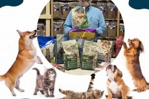 Give a Dog a Job: Donate a Service Dog Today My Caring Dog – Tips, Stories, and Care Guides for Loving Pet Owners Give a Dog a Job: Donate a Service Dog Today | My Caring Dog – Tips, Stories, and Care Guides for Loving Pet Owners