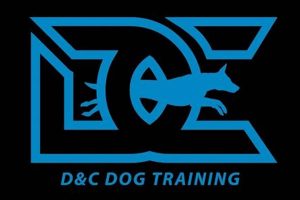 D And C Dog Training My Caring Dog – Tips, Stories, and Care Guides for Loving Pet Owners D And C Dog Training | My Caring Dog – Tips, Stories, and Care Guides for Loving Pet Owners