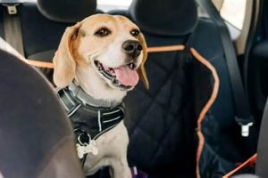 Top 5: Best Things for Dog Car Sickness Relief My Caring Dog – Tips, Stories, and Care Guides for Loving Pet Owners Top 5: Best Things for Dog Car Sickness Relief | My Caring Dog – Tips, Stories, and Care Guides for Loving Pet Owners