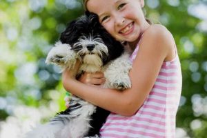 The Ultimate Guide to Havanese Dog Care My Caring Dog – Tips, Stories, and Care Guides for Loving Pet Owners The Ultimate Guide to Havanese Dog Care | My Caring Dog – Tips, Stories, and Care Guides for Loving Pet Owners