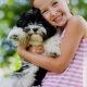 The Ultimate Guide to Havanese Dog Care | My Caring Dog – Tips, Stories, and Care Guides for Loving Pet Owners